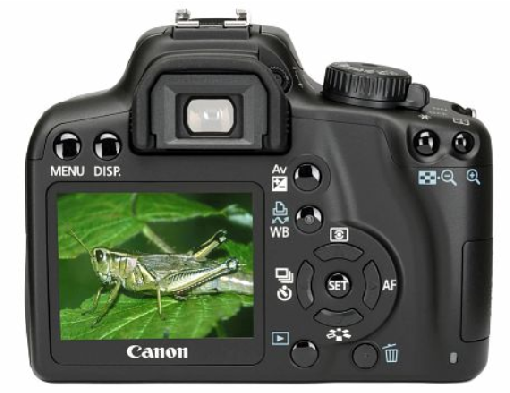Reflex CANON EOS 1000D + EFS 18-55 II