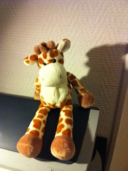 Peluche Giraffes